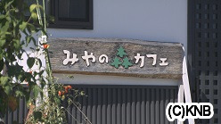 森のごちそう